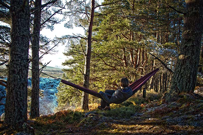 DD Frontline hammock in maroon red in the Cairngorms, Scotland