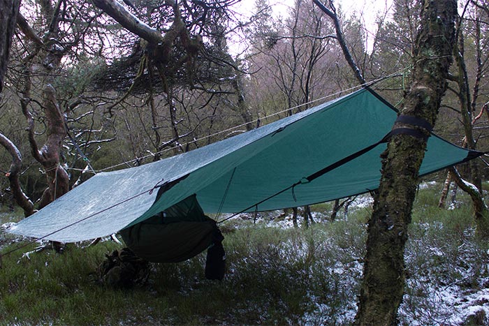 DD tarp and hammock in the frost - by Mark Skiba