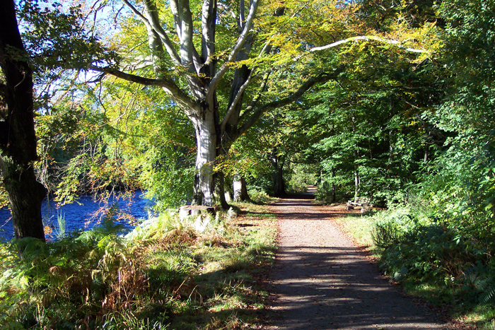 Lady Mary's Walk, Perthshire - image by PKCT