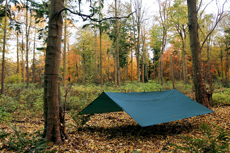DD Tarp 4x4 green set up as a spacious shelter outdoors