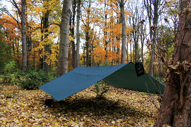 DD Tarp 4x4 green set up as a spacious shelter in the woods