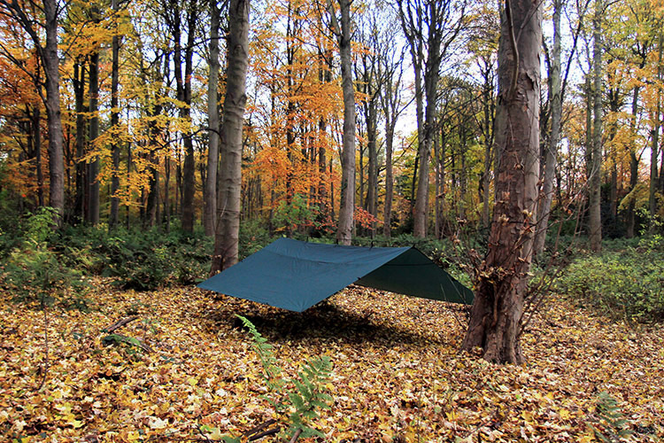 DD Tarp 4x4 green set up as a large group shelter in the woods